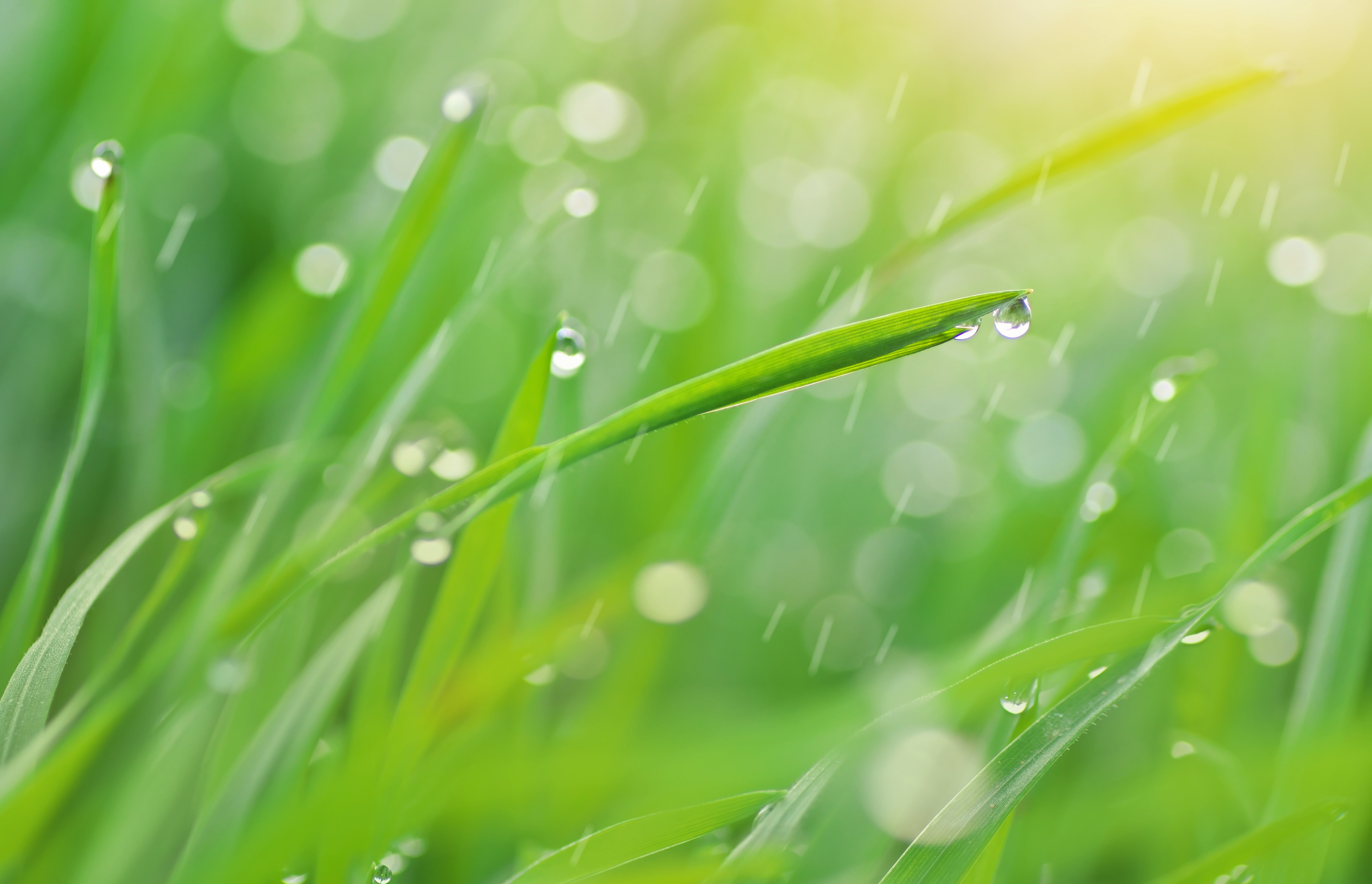 shutterstock_1077355619_rainy